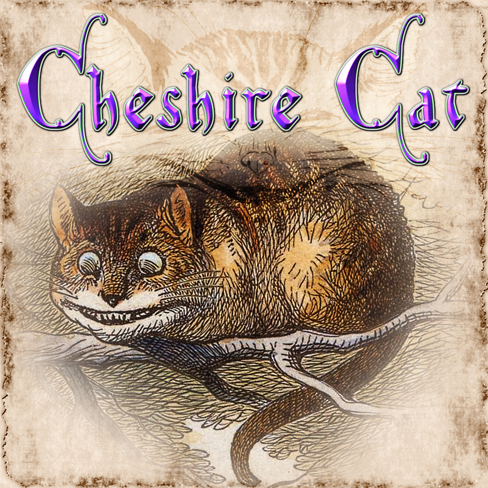 Cheshire Cat DnD5e BANNER.jpg