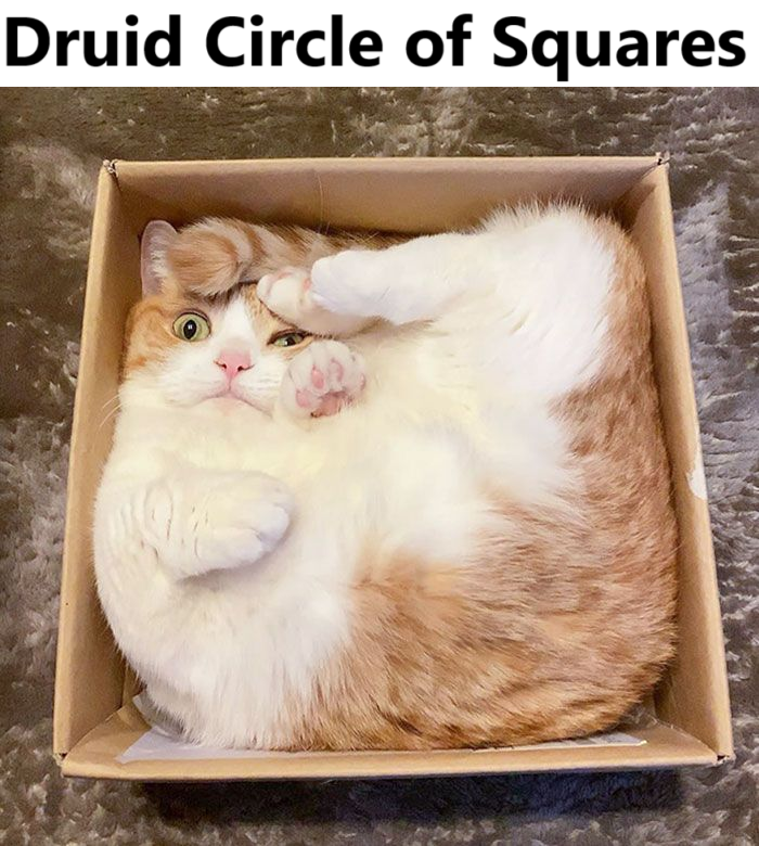 Circle of Squares.png