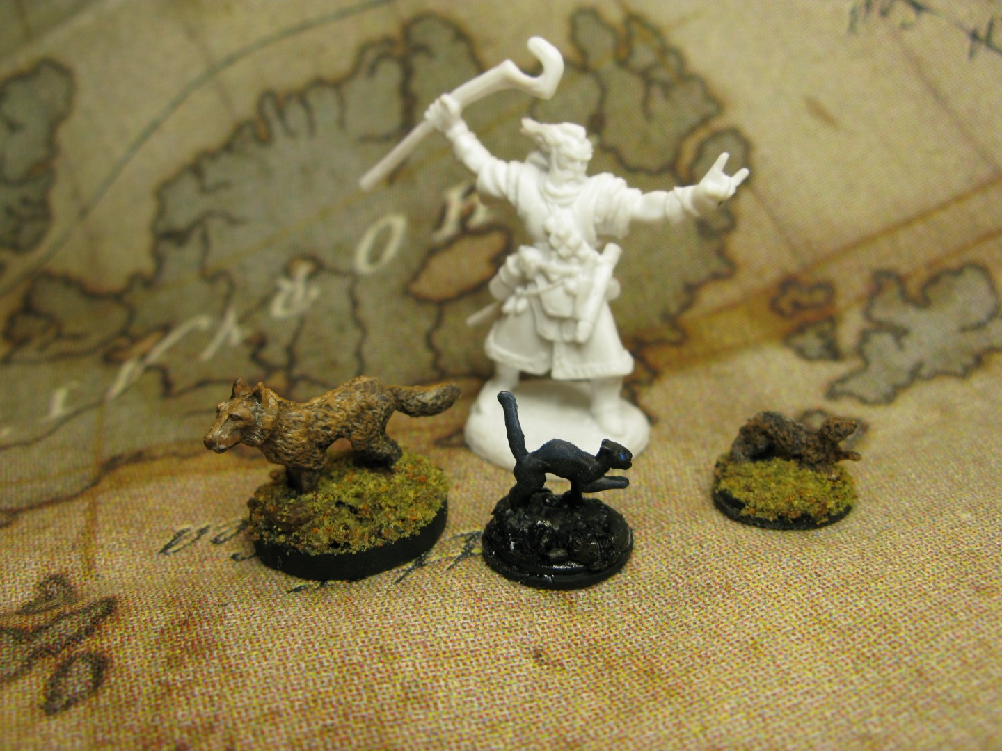 companions(Large).JPG