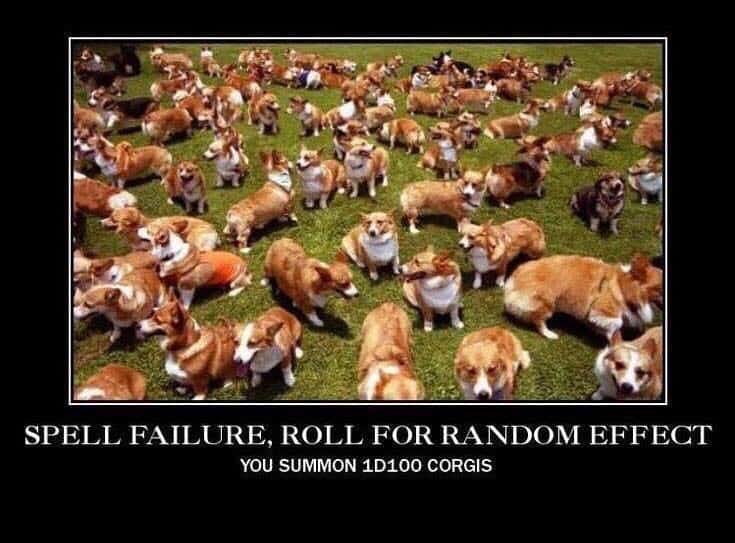 corgis.jpg