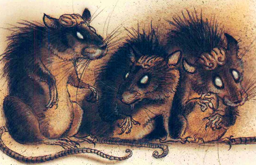 craniumrats.jpg