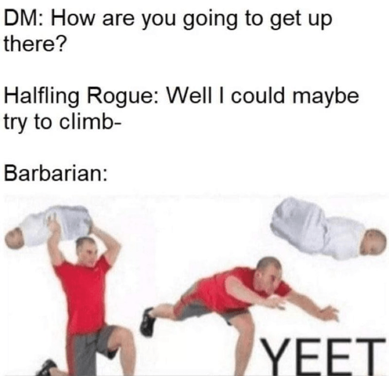 dm-are-going-get-up-there-halfling-rogue-well-could-maybe-try-climb-barbarian-yeet.png