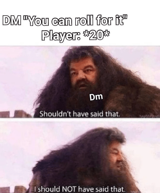 dm-can-roll-player-20-dm-shouldnt-have-said-should-not-have-said.png