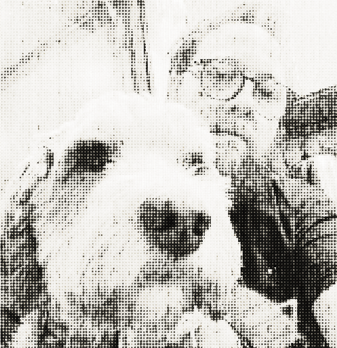 dog5.png