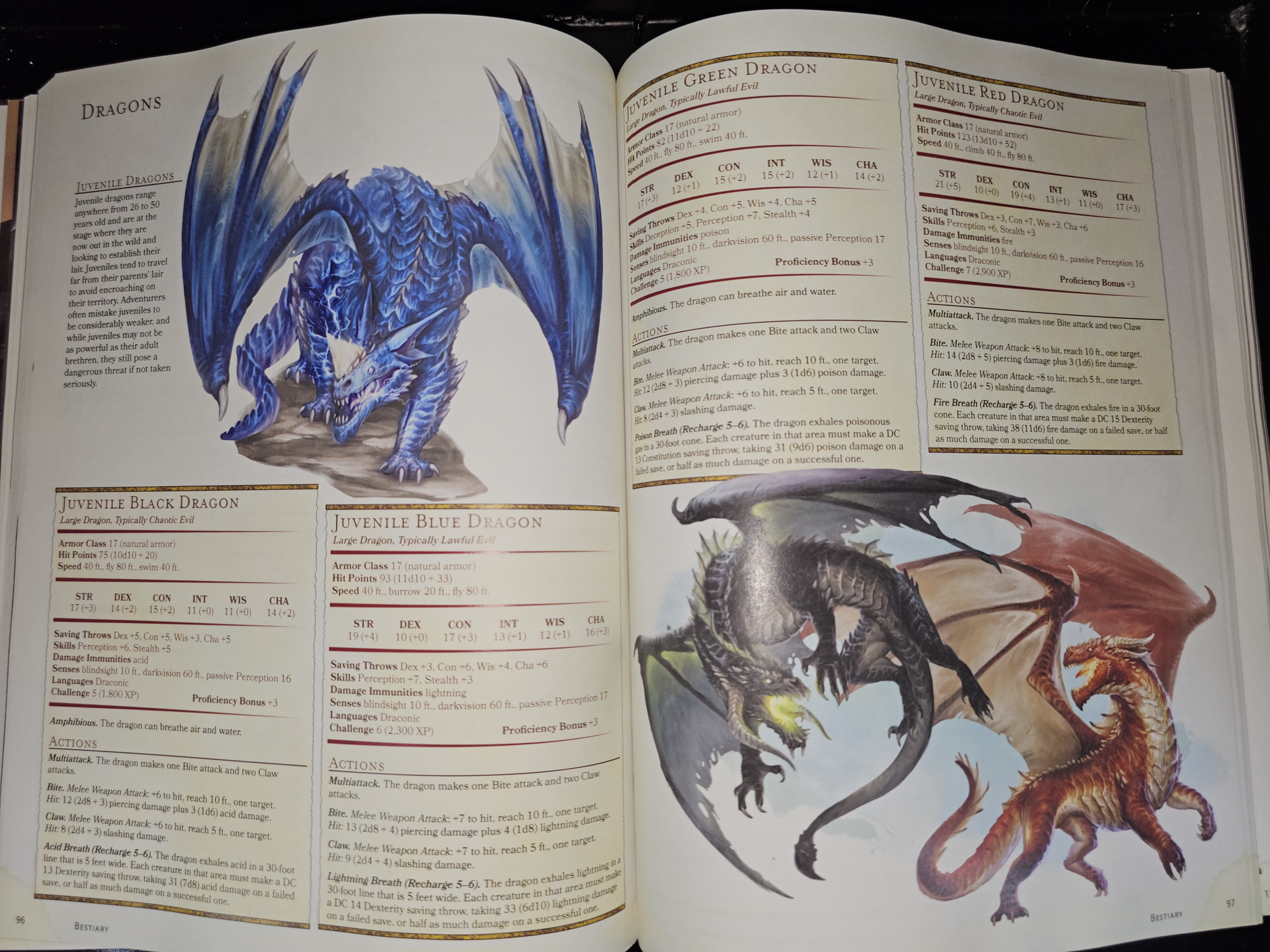 Dragons.png