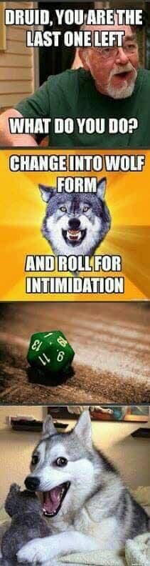 druid.jpg
