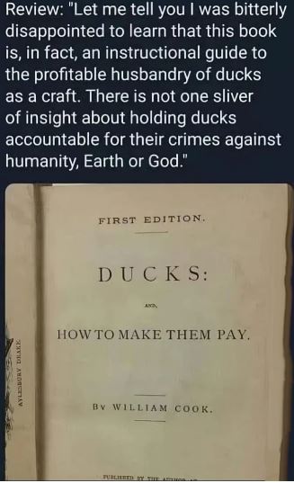 Ducks to Cook as Bards to Snarf.JPG