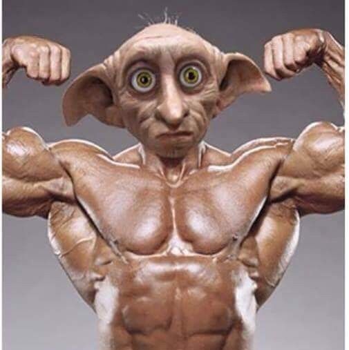 e0e476517a98bc30e5a48416509c5850--a-gym-weights-657570363.jpg