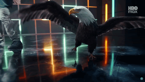 eagly.gif