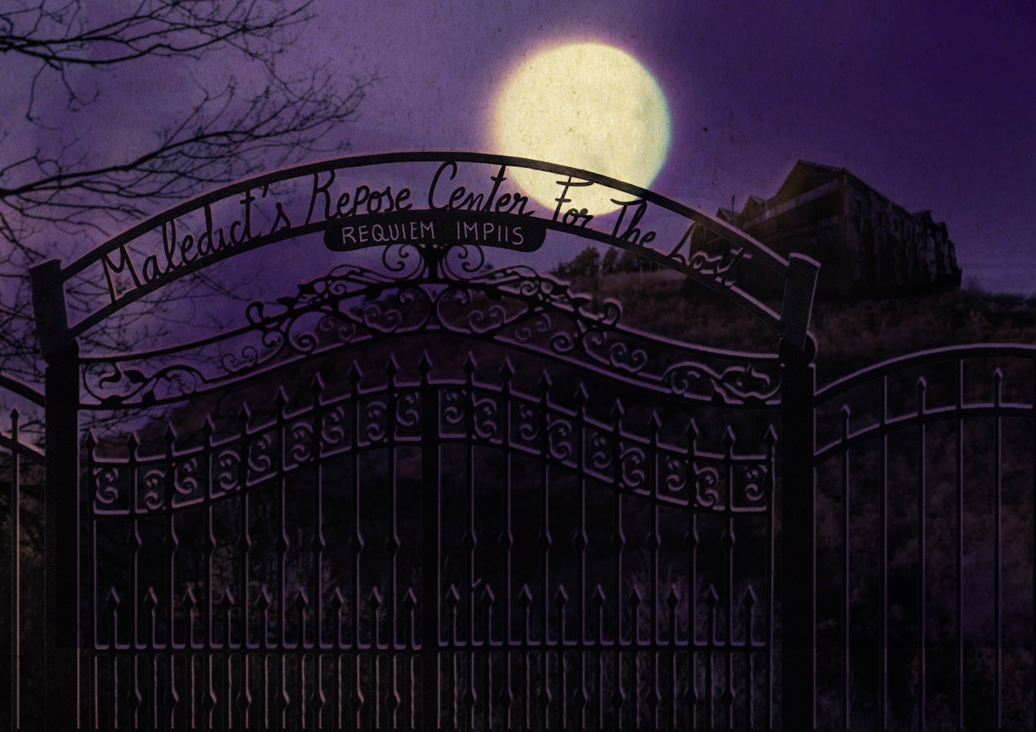 EN5ider_612_illustration_francita-soto_asylum WEB.jpg