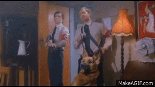 eXLWqa.gif