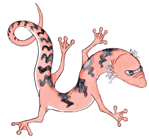 eye salamander.jpg