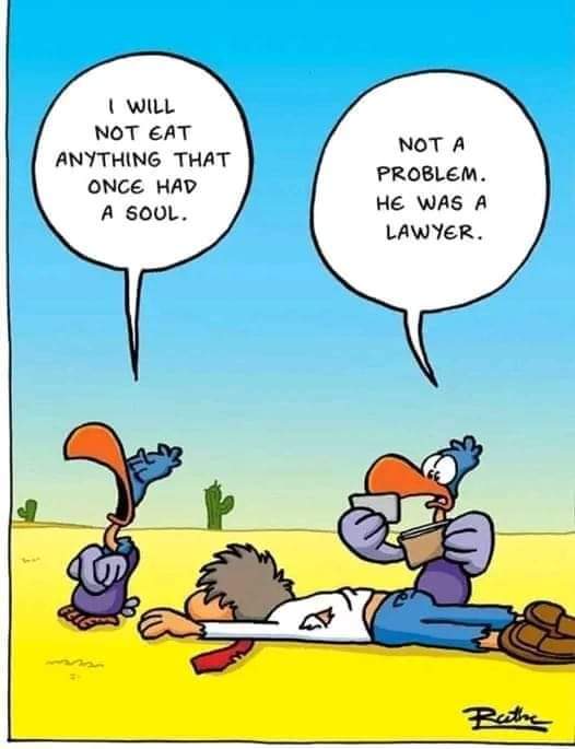 FB_IMG_1690917203066.jpg