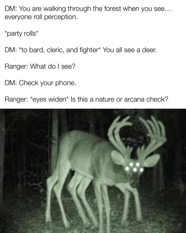 fighter-all-see-deer-ranger-do-see-dm-check-phone-ranger-eyes-widen-is-this-nature-or-arcana-c...png
