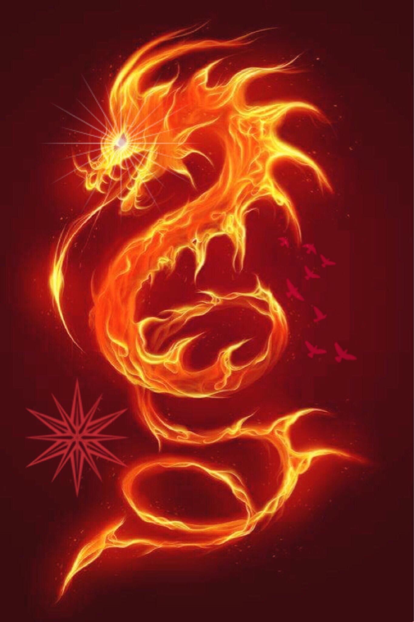 Fire-Dragon.jpg