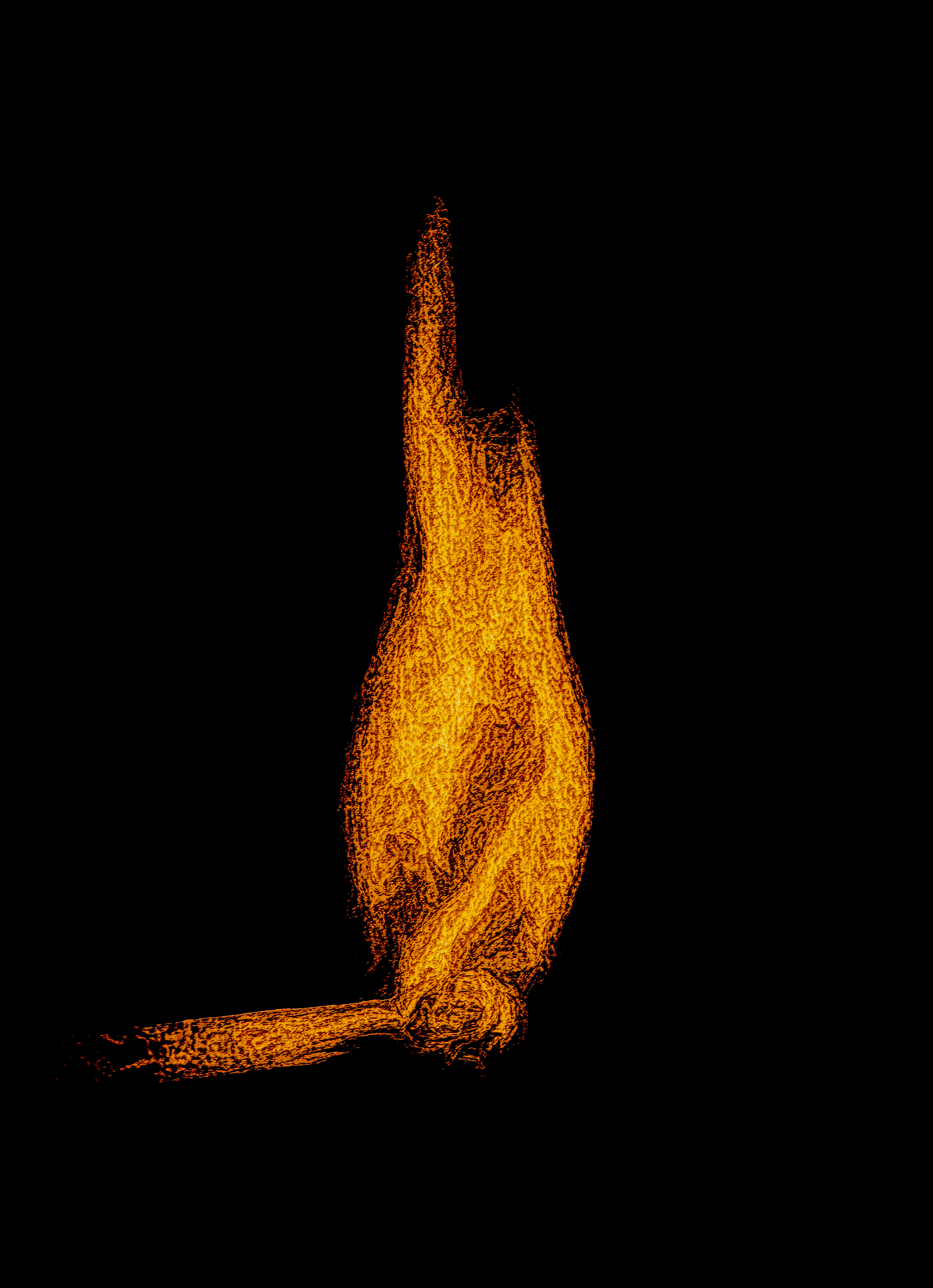 flame.jpeg