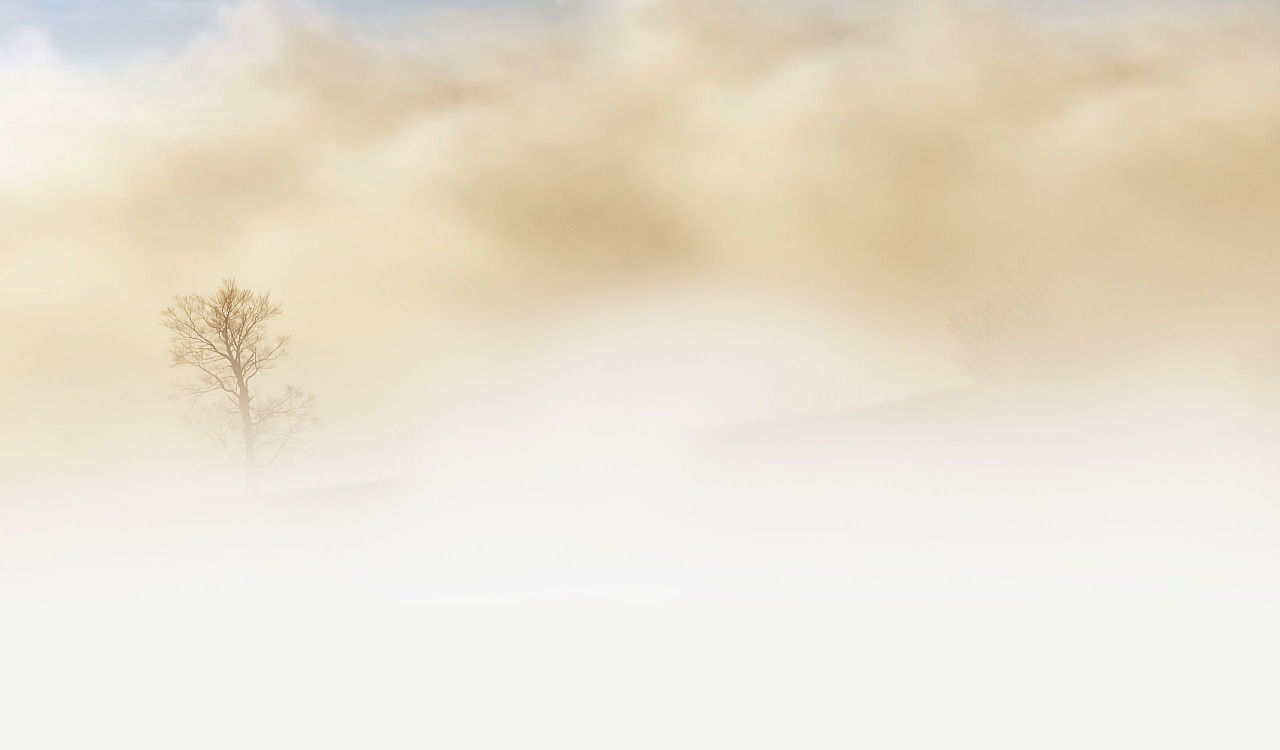fog-240075_1280.jpg
