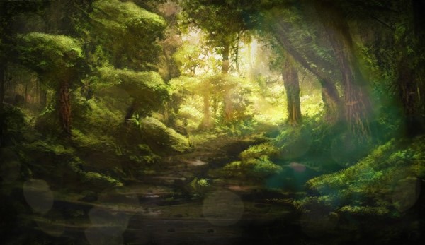 Forest II.jpg