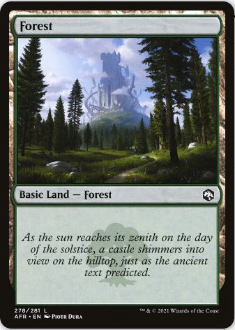 Forest2.JPG