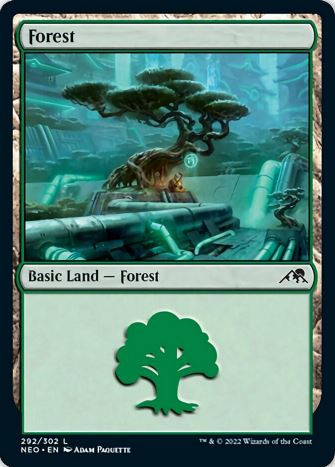 Forest3.JPG