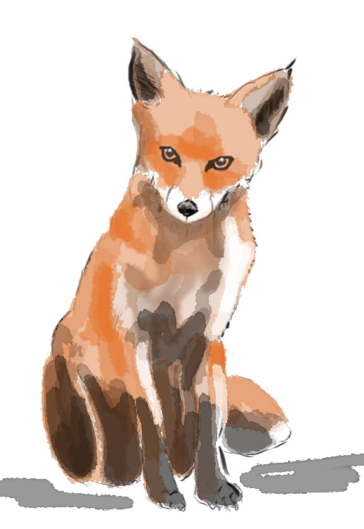 fox.jpg
