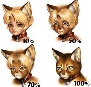 furry chart 2.jpg