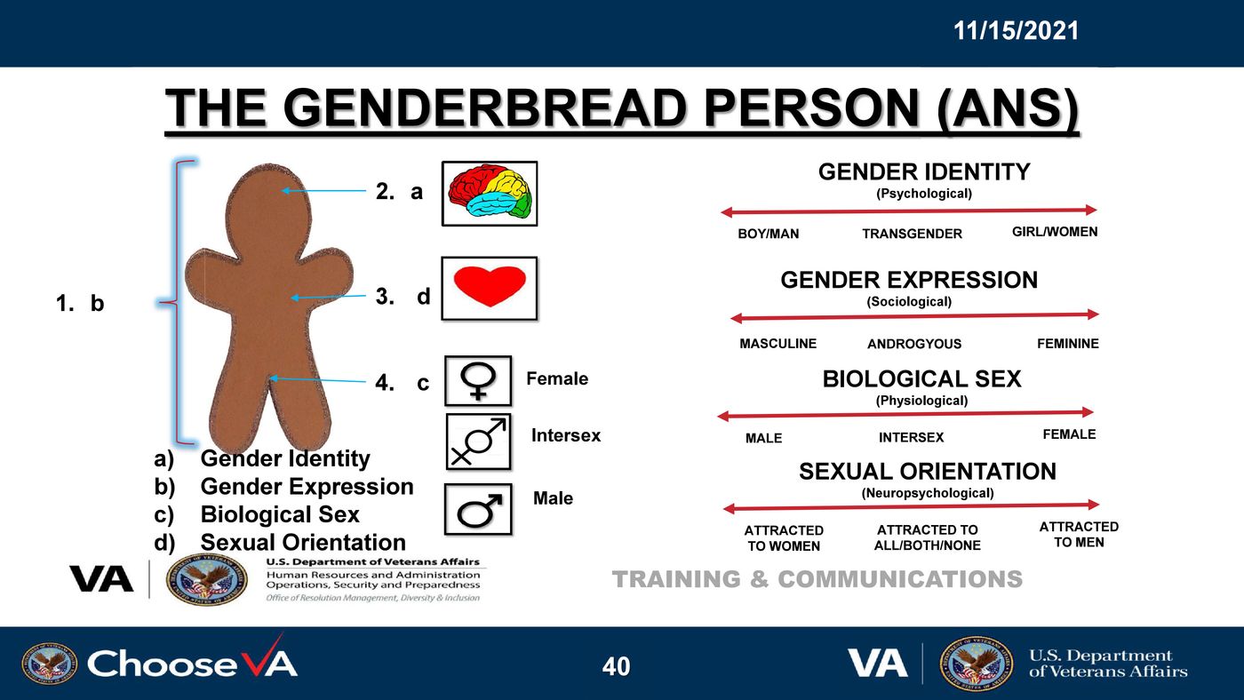 genderbread person.jpg
