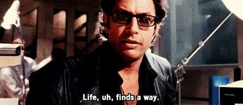 giphy-3977675643.gif