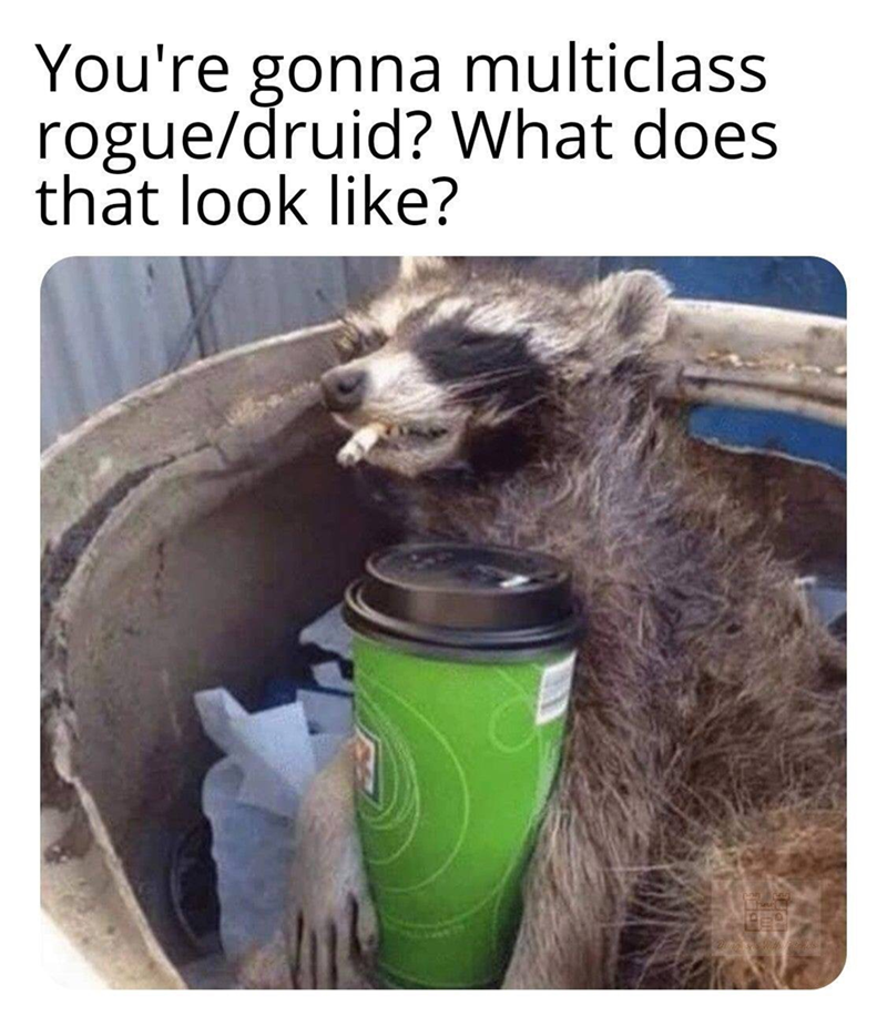 gonna-multiclass-roguedruid-does-look-like.png