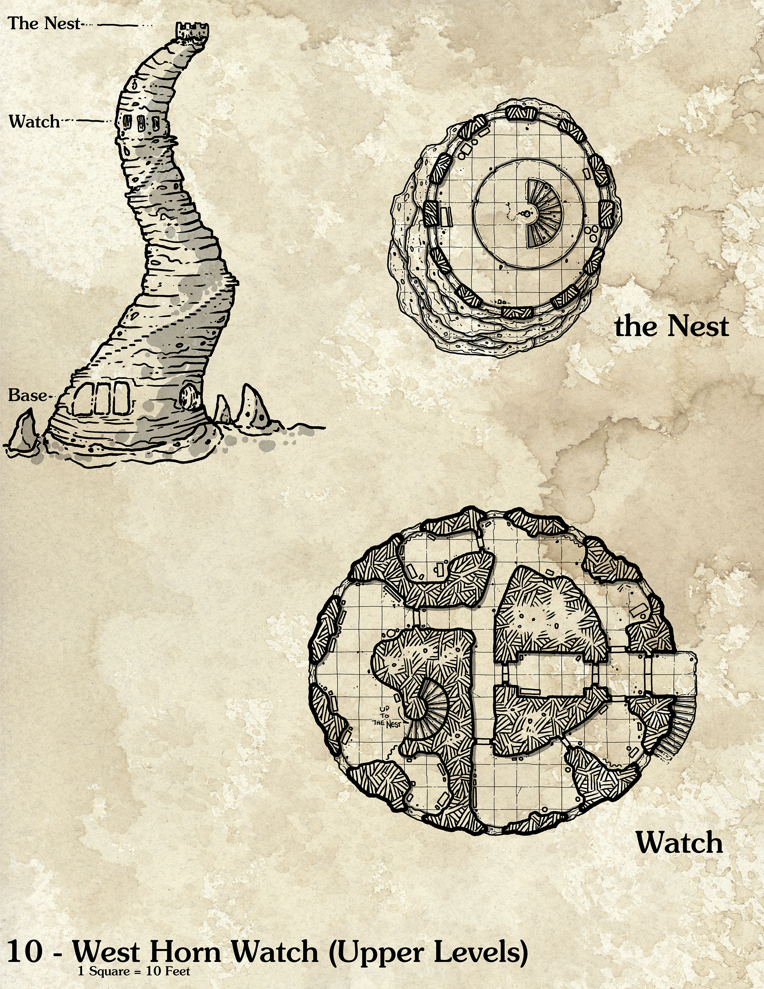 Graxworm-10-West-Watch-Upper-Promo.jpg