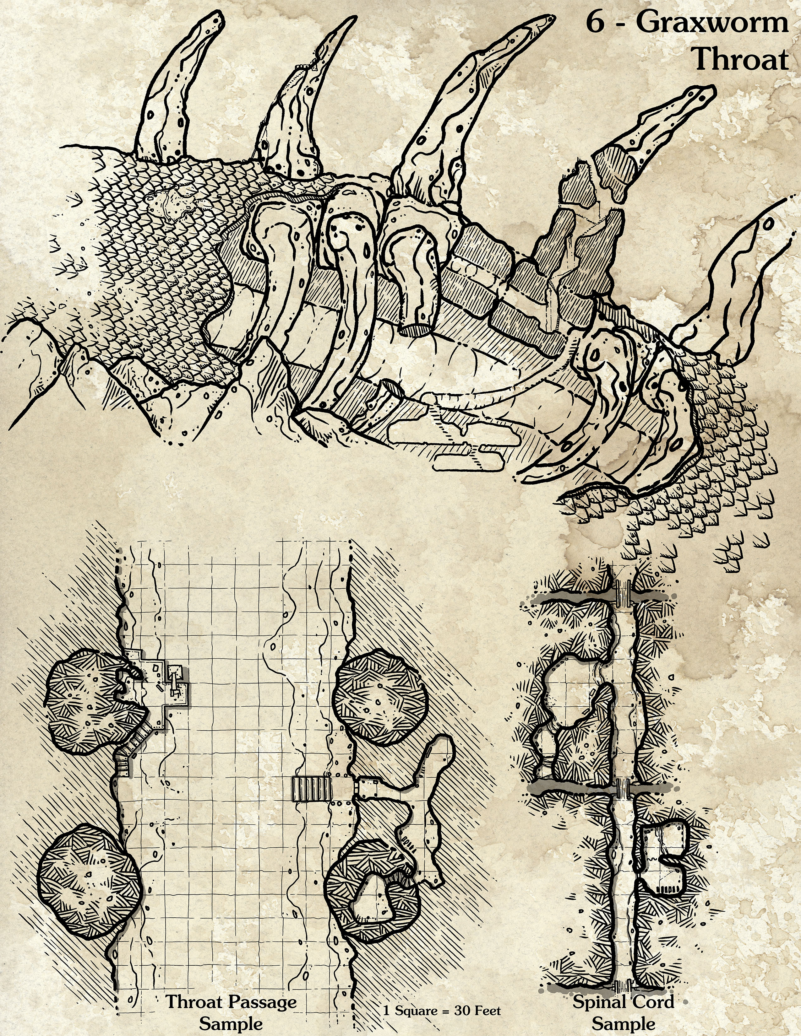 Graxworm-Throat-Overview-promo.jpg