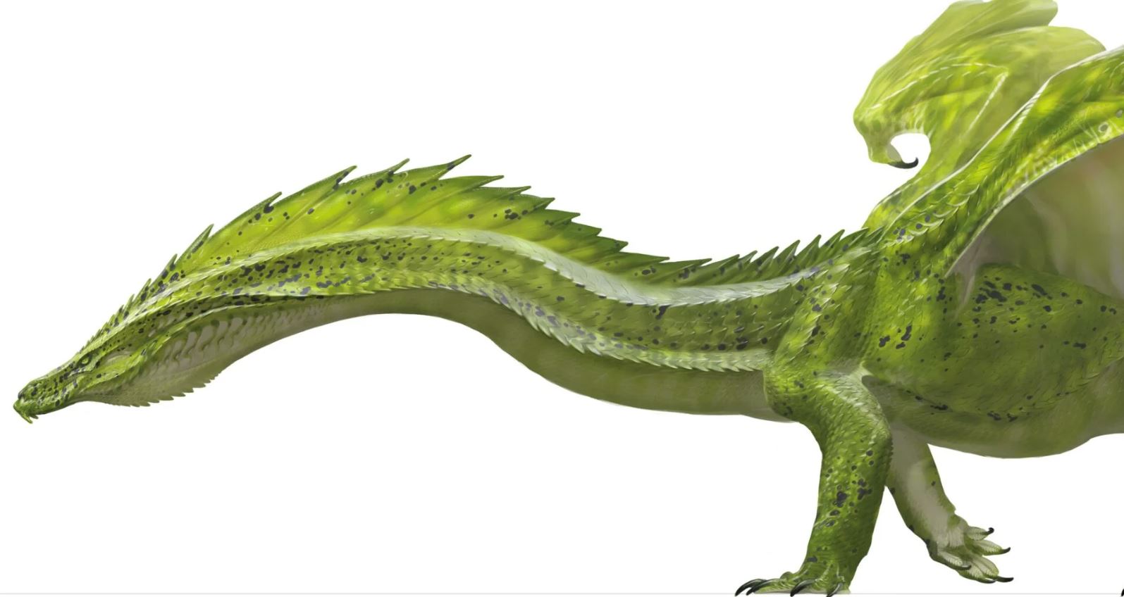 Green_2024_concept2.JPG