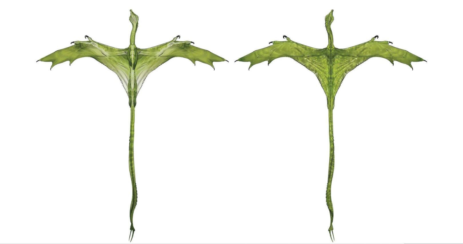 Green_2024_concept4.JPG