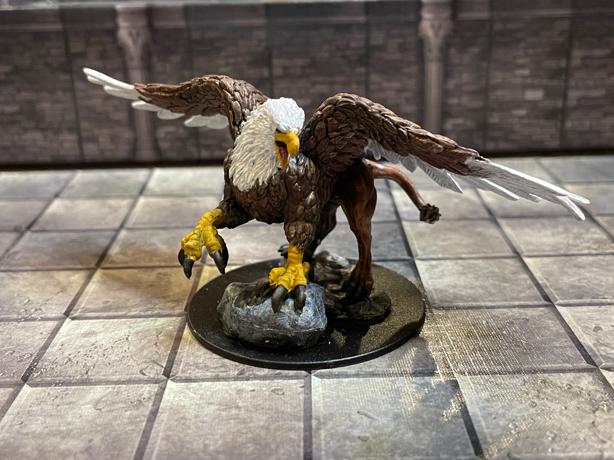 griffon front.jpeg