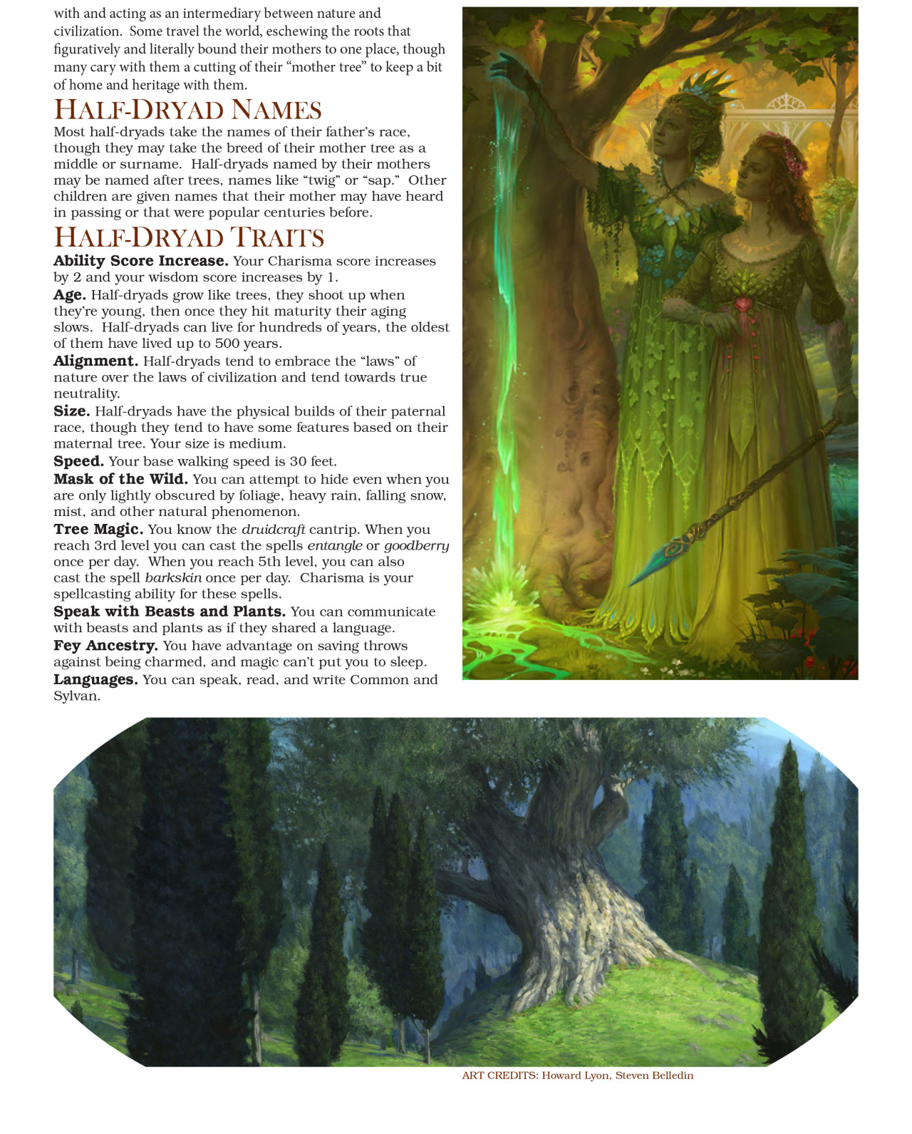 Half Druid 2.jpg