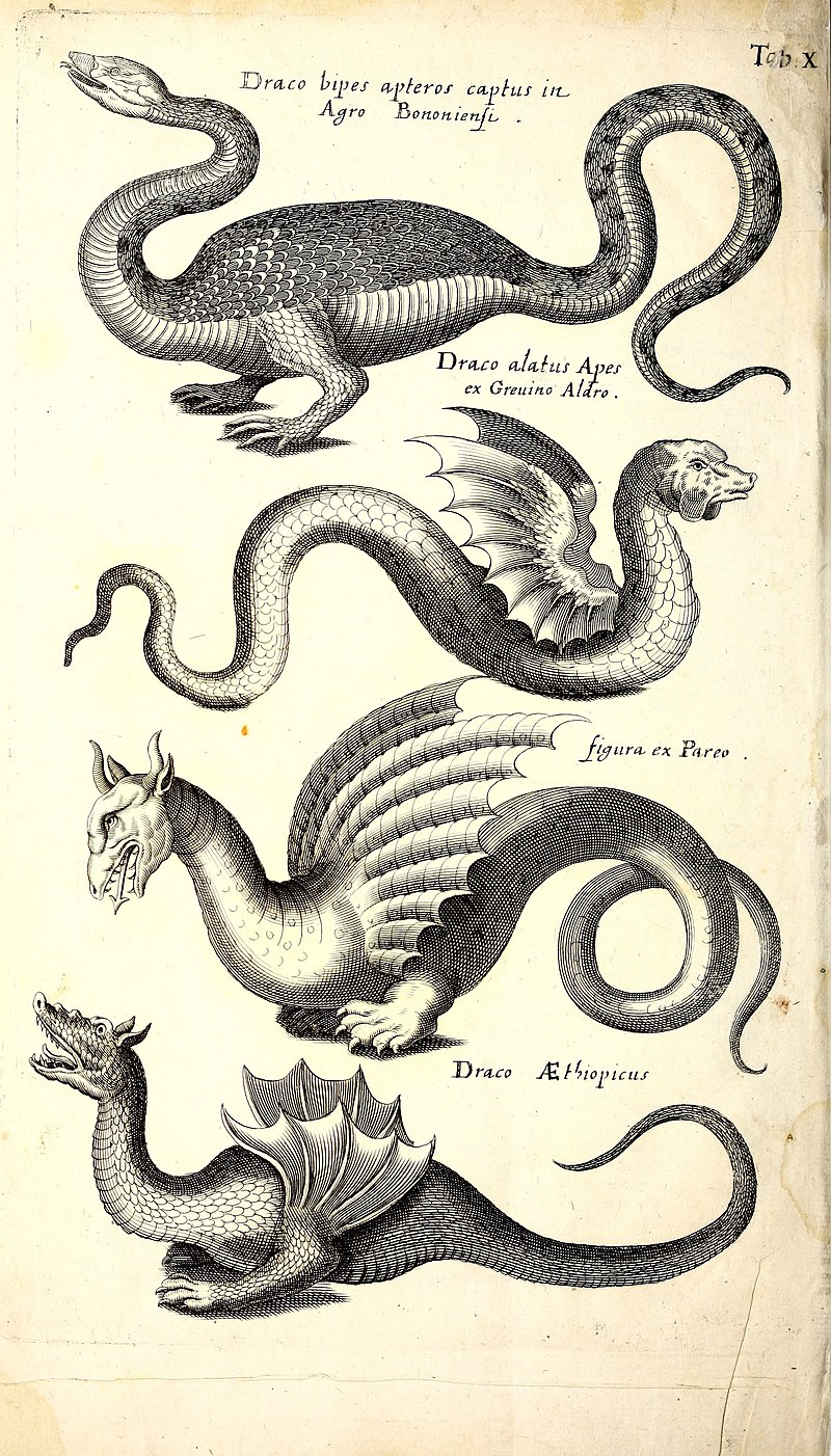 Historiae_naturalis_de_quadrupetibus_libri_-_cum_aeneis_figuris;_(Historiae_naturalis_de_serpe...jpg