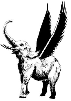 Hollyphant1e.JPG.jpg