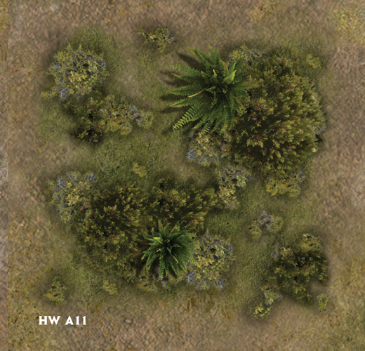 hwa11.png