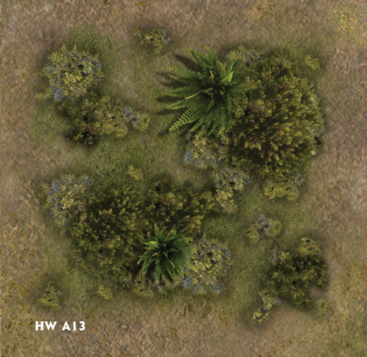 hwa13.png