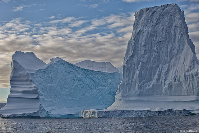 iceberg.jpg