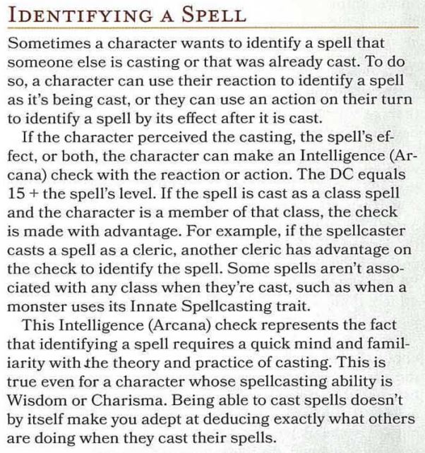 IdentifyingSpell.JPG