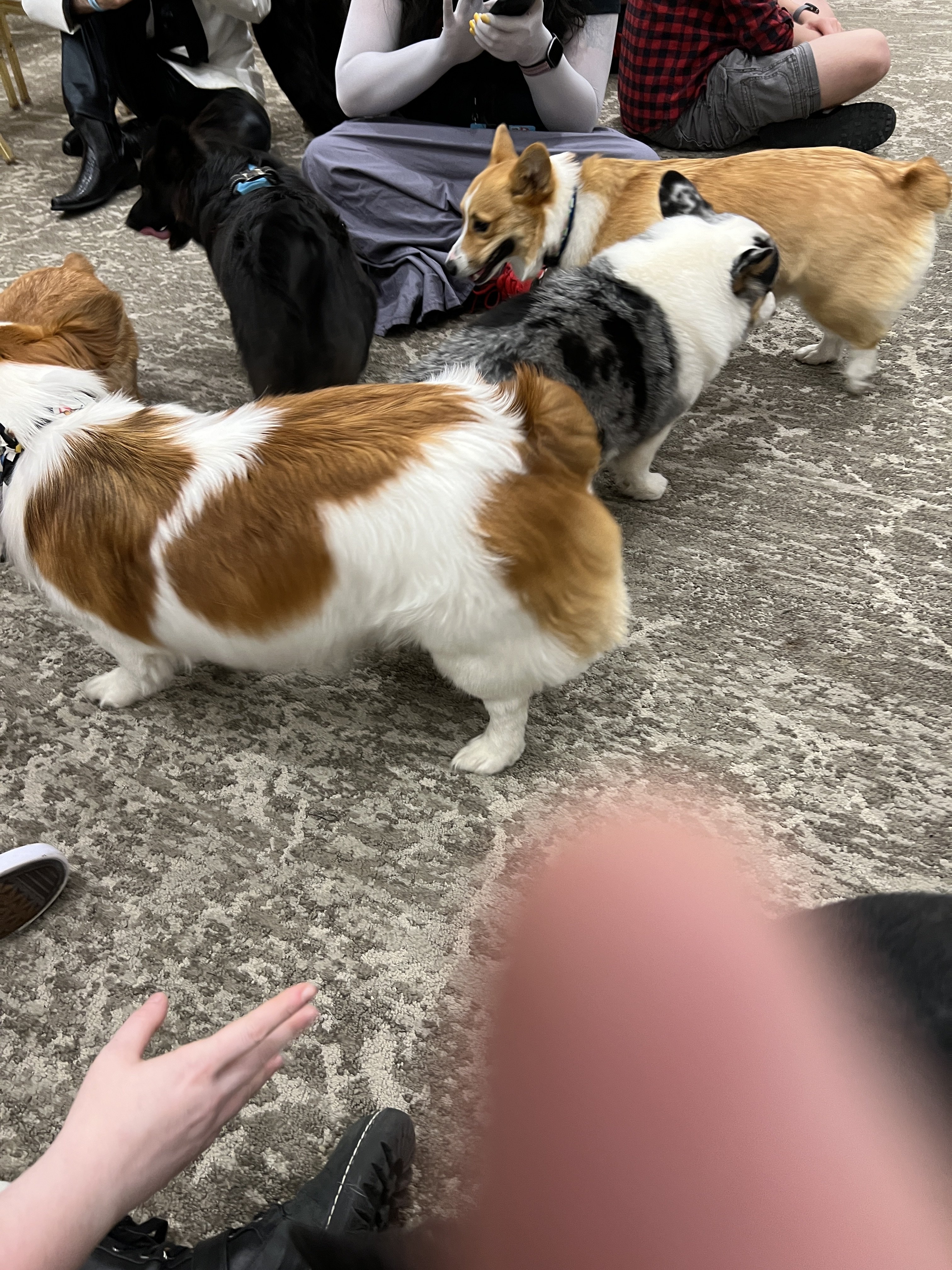 IMG_0197.jpeg