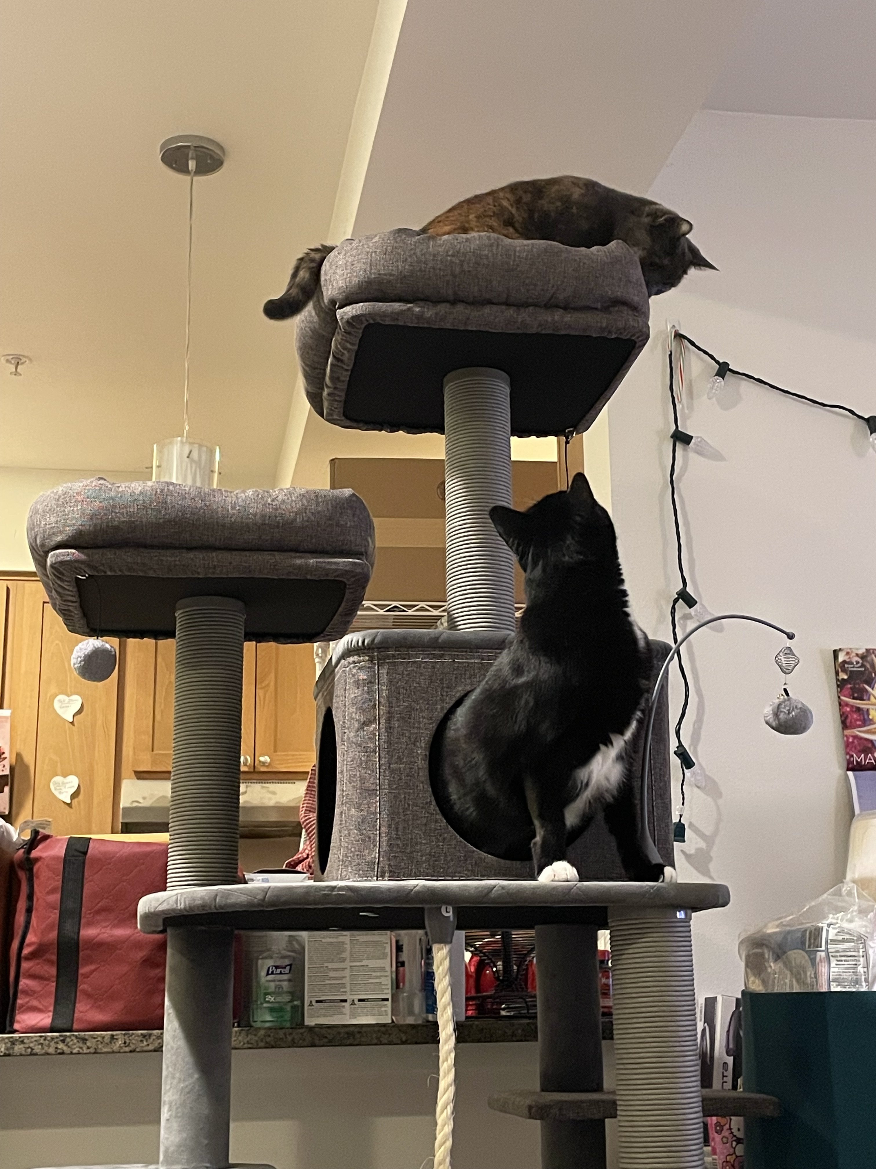 IMG_1040.jpeg