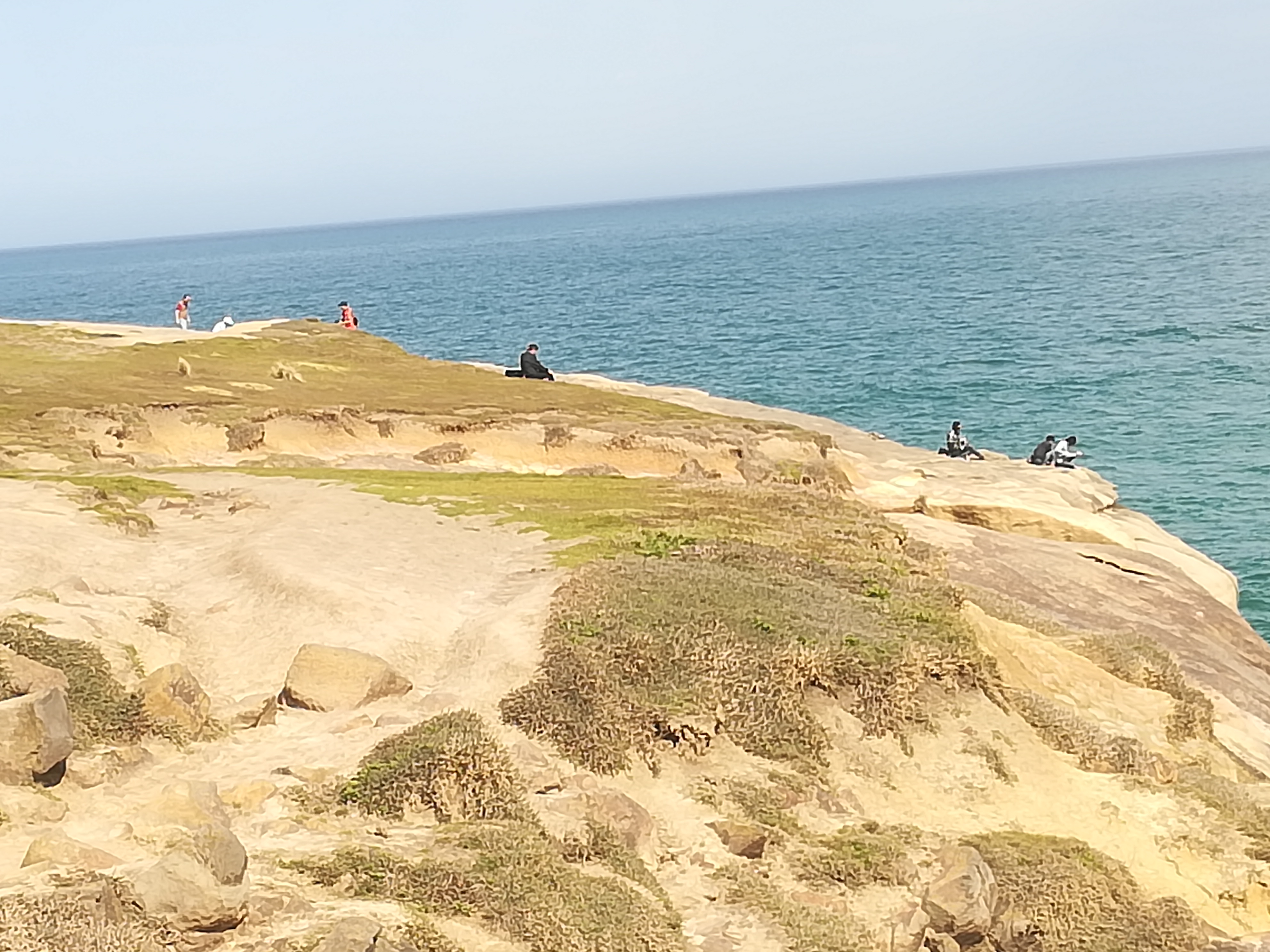 IMG_20191026_155637.jpg