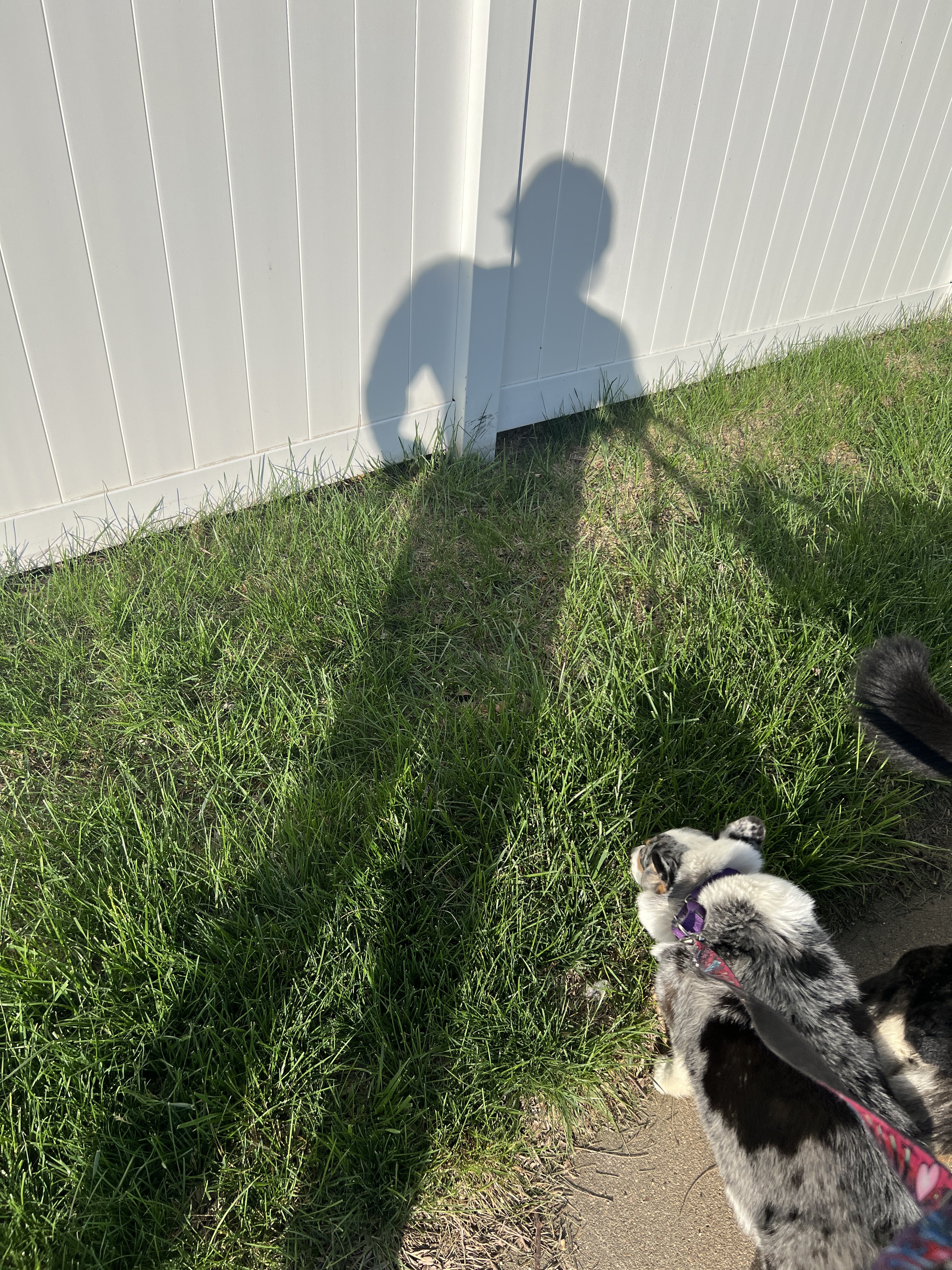 IMG_2193.jpeg