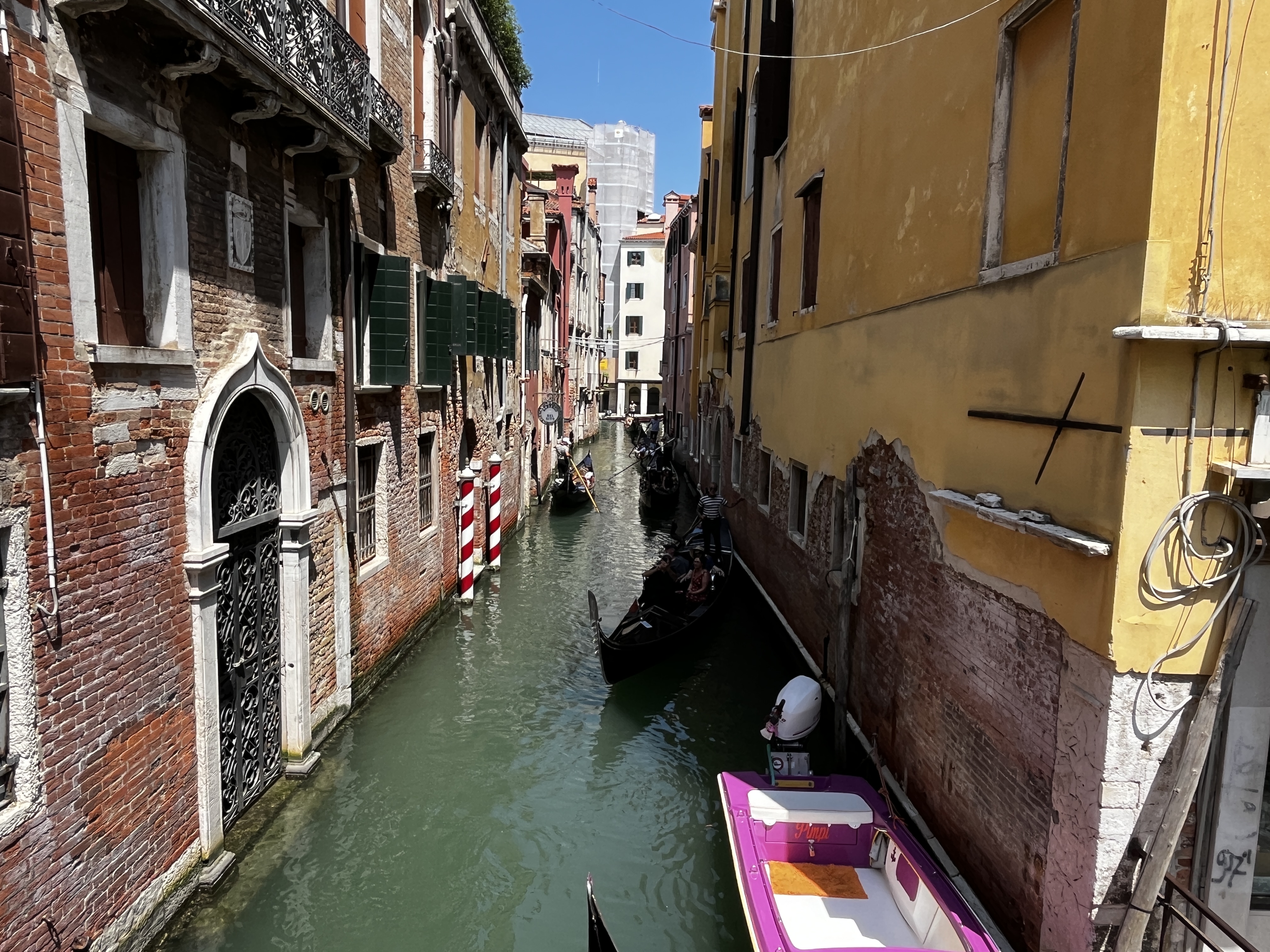 IMG_4184.JPEG