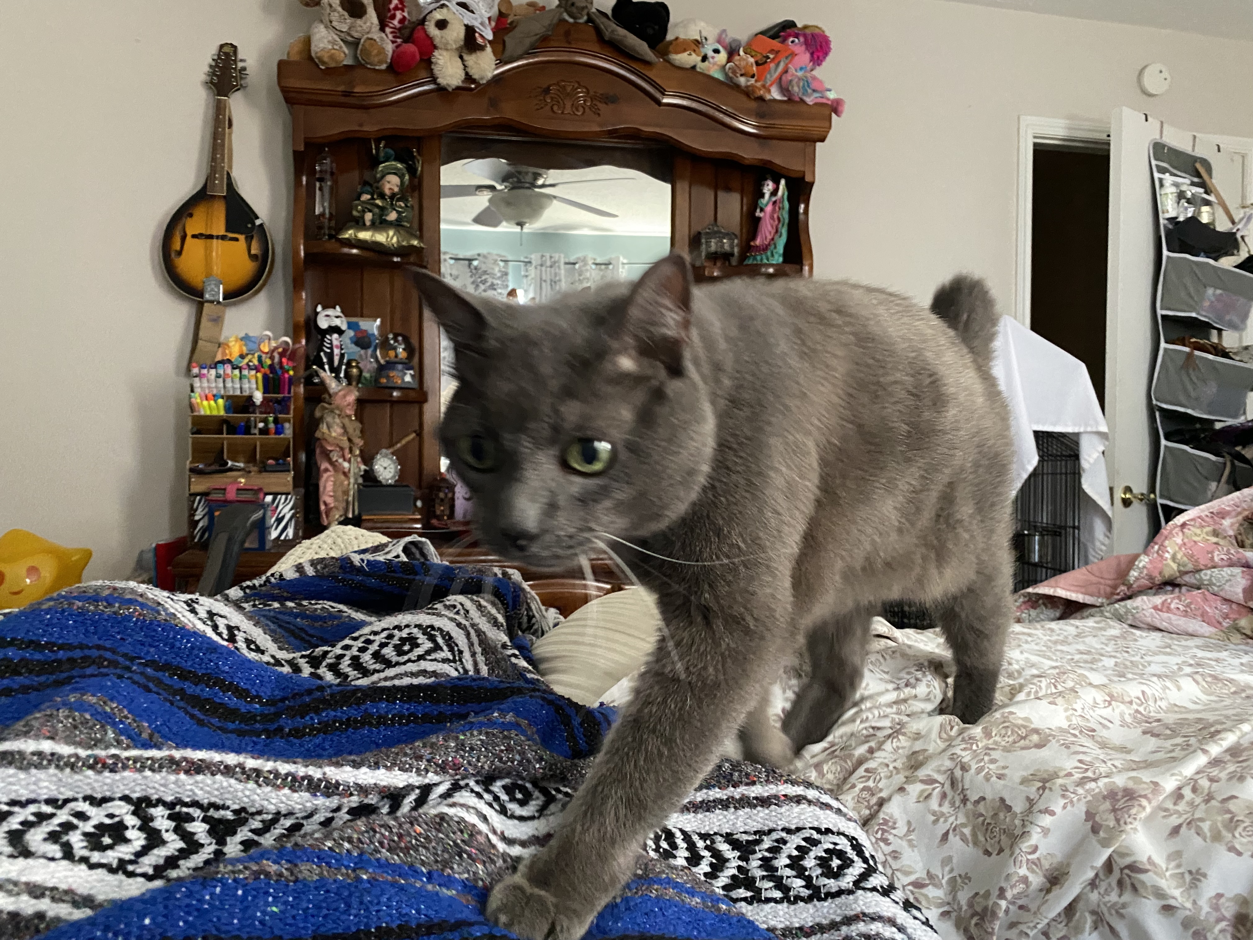 IMG_5608.jpeg