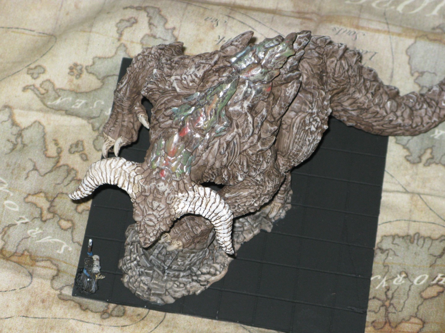IMG_5708 (Large).JPG