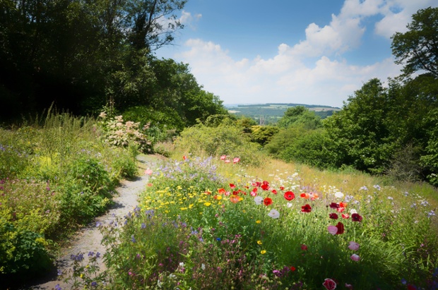 into-the-unknown-meadow=garfotos-alamy.jpg