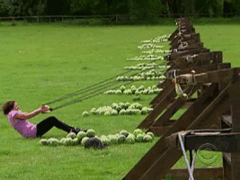 itRuyM7.gif